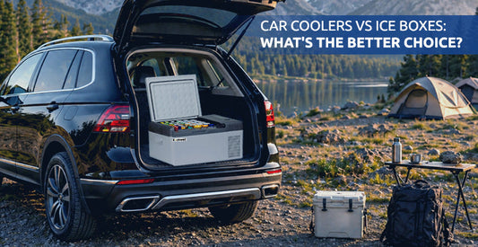 Car Coolers vs Ice Boxes: What’s the Better Choice?